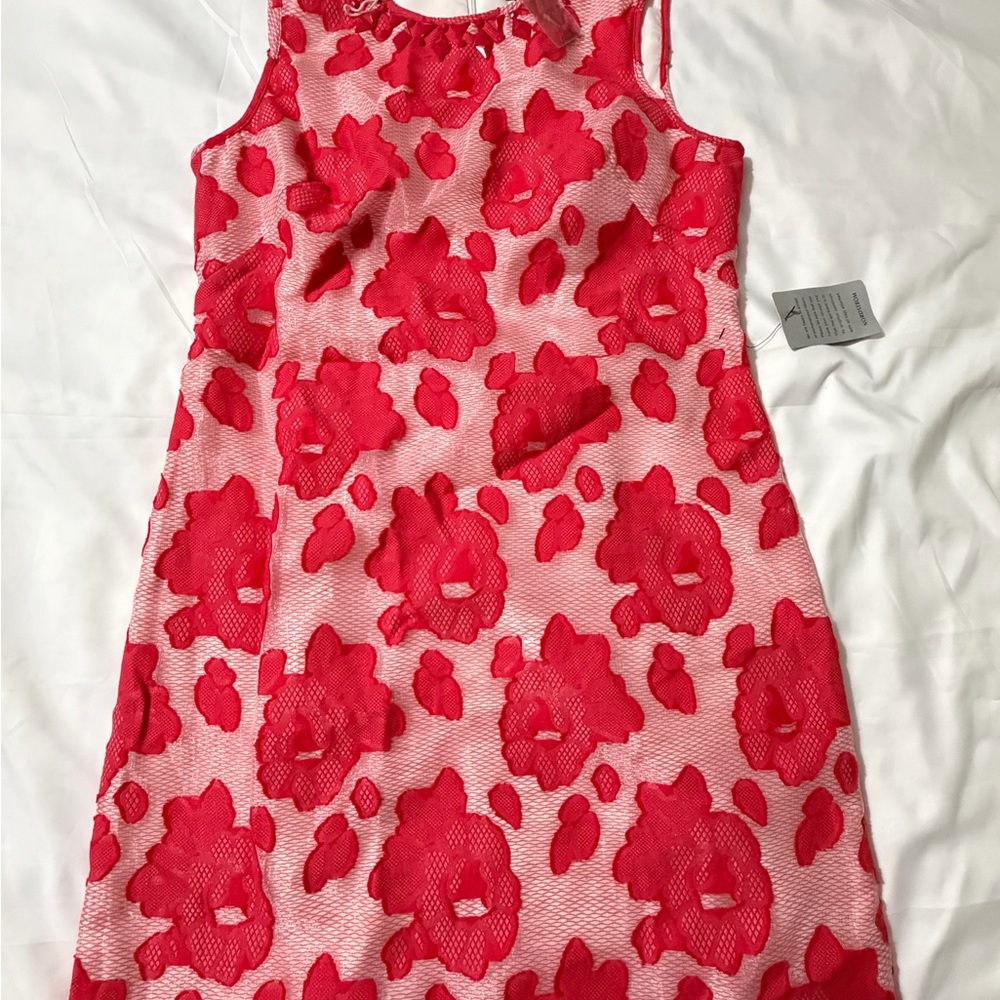 Adrianna Papell Red Floral Lace Dress NWT